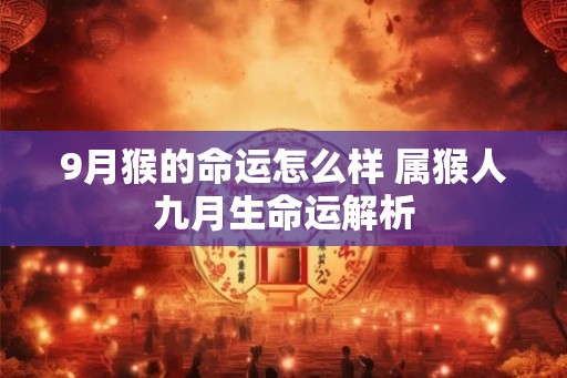 9月猴的命运怎么样 属猴人九月生命运解析