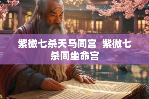 紫微七杀天马同宫 紫微七杀同坐命宫 紫微七杀天马同宫 紫微七杀同坐命宫