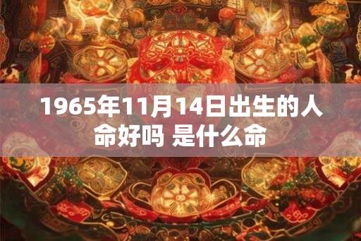 1965年11月14日出生的人命好吗 是什么命