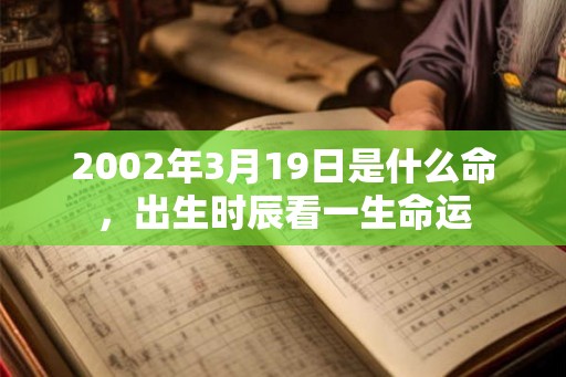 2002年3月19日是什么命，出生时辰看一生命运
