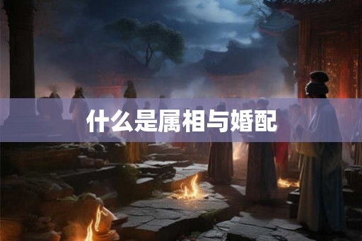 什么是属相与婚配