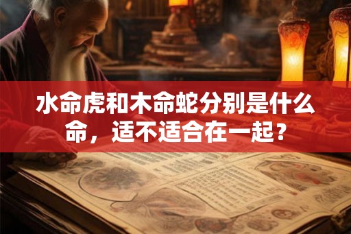 水命虎和木命蛇分别是什么命，适不适合在一起？