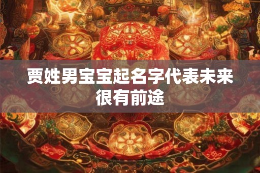 贾姓男宝宝起名字代表未来很有前途 贾姓男宝宝起名字代表未来很有前途