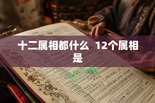 十二属相都什么  12个属相是