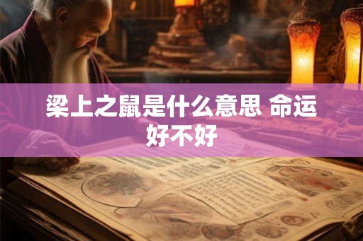 梁上之鼠是什么意思 命运好不好 梁上之鼠是什么意思 命运好不好