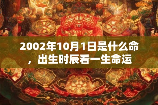 2002年10月1日是什么命，出生时辰看一生命运