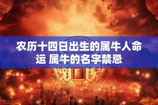 农历十四日出生的属牛人命运 属牛的名字禁忌