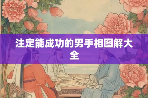注定能成功的男手相图解大全