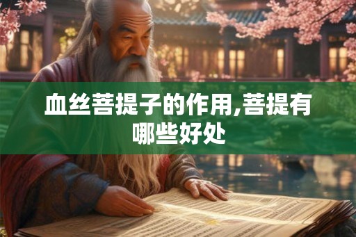 血丝菩提子的作用,菩提有哪些好处