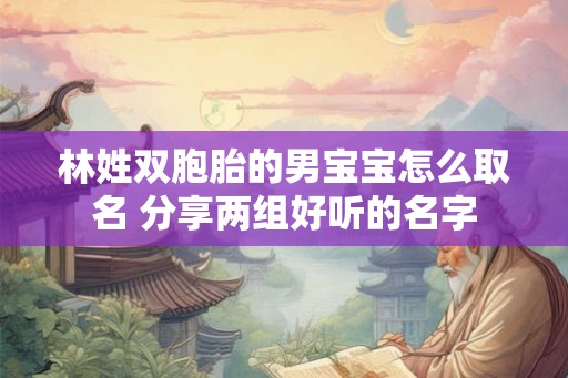 林姓双胞胎的男宝宝怎么取名 分享两组好听的名字