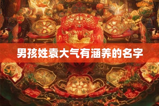 男孩姓袁大气有涵养的名字