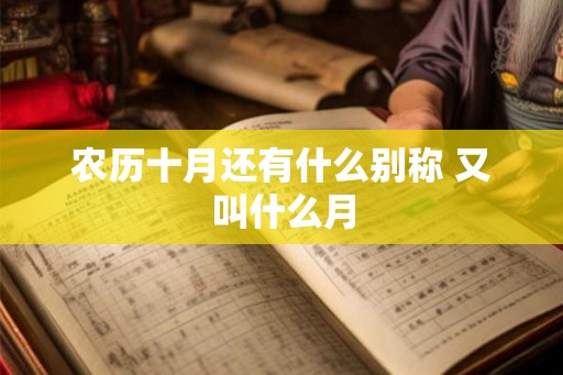 农历十月还有什么别称 又叫什么月