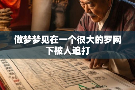 做梦梦见在一个很大的罗网下被人追打