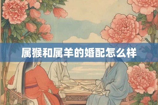 属猴和属羊的婚配怎么样
