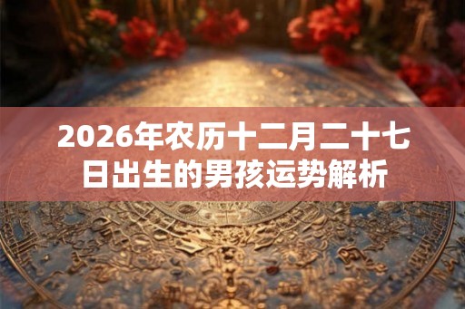 2026年农历十二月二十七日出生的男孩运势解析