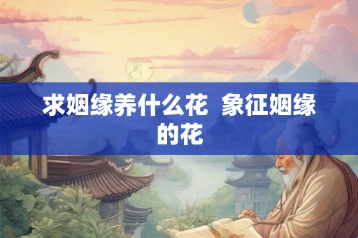 求姻缘养什么花  象征姻缘的花