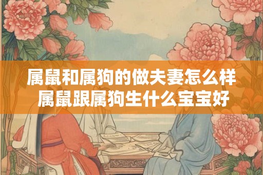 属鼠和属狗的做夫妻怎么样 属鼠跟属狗生什么宝宝好
