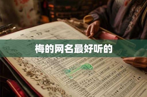 梅的网名最好听的 梅的网名最好听的