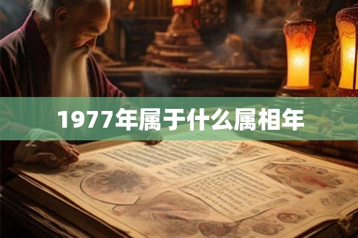 1977年属于什么属相年 1977年属于什么属相年