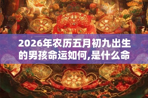 2026年农历五月初九出生的男孩命运如何,是什么命？