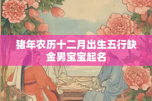 猪年农历十二月出生五行缺金男宝宝起名