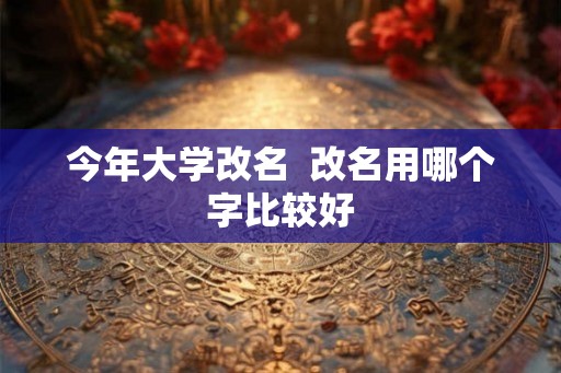 今年大学改名  改名用哪个字比较好