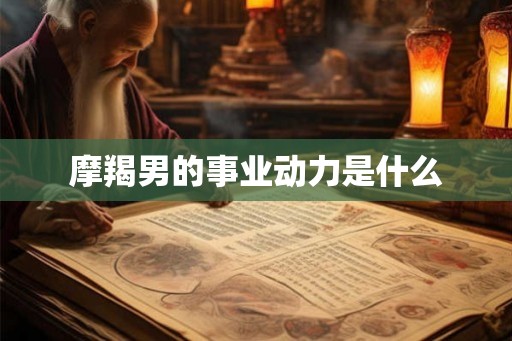 摩羯男的事业动力是什么