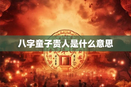 八字童子贵人是什么意思