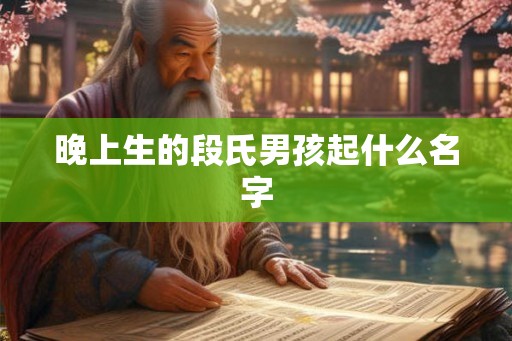 晚上生的段氏男孩起什么名字