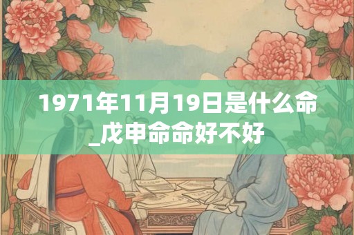 1971年11月19日是什么命_戊申命命好不好