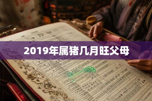 2019年属猪几月旺父母