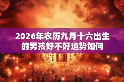 2026年农历九月十六出生的男孩好不好运势如何