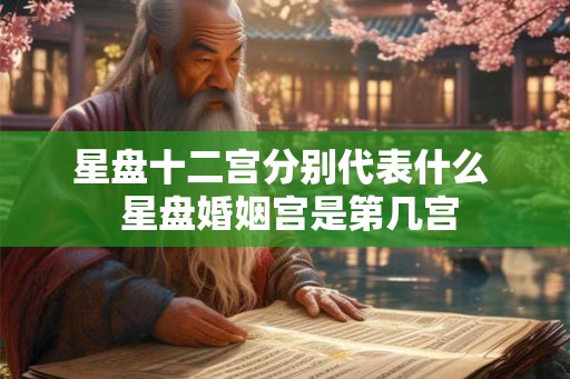 星盘十二宫分别代表什么 星盘婚姻宫是第几宫 星盘十二宫分别代表什么 星盘婚姻宫是第几宫