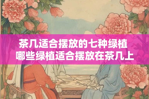 茶几适合摆放的七种绿植 哪些绿植适合摆放在茶几上