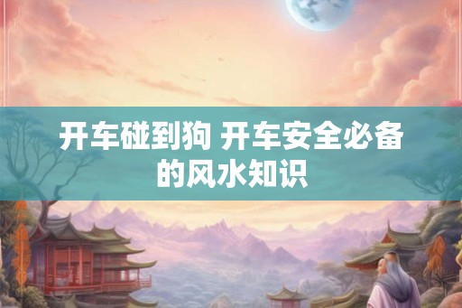 开车碰到狗 开车安全必备的风水知识 开车碰到狗 开车安全必备的风水知识