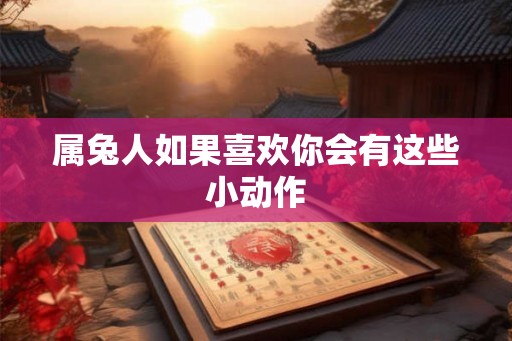 属兔人如果喜欢你会有这些小动作
