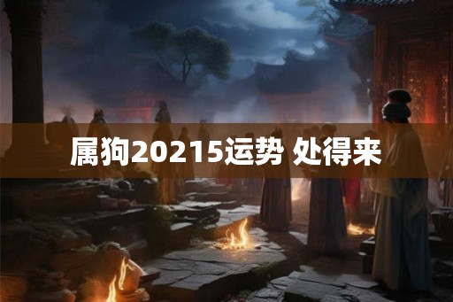 属狗20215运势 处得来