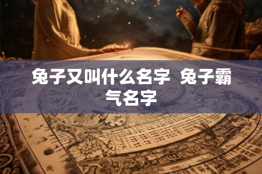 兔子又叫什么名字  兔子霸气名字