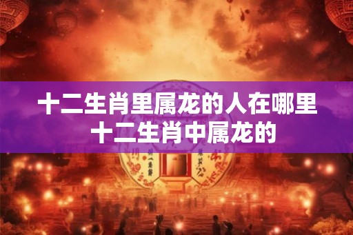 十二生肖里属龙的人在哪里  十二生肖中属龙的