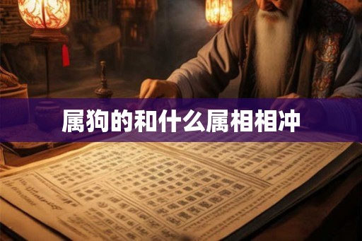 属狗的和什么属相相冲