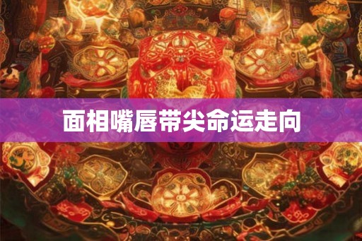面相嘴唇带尖命运走向