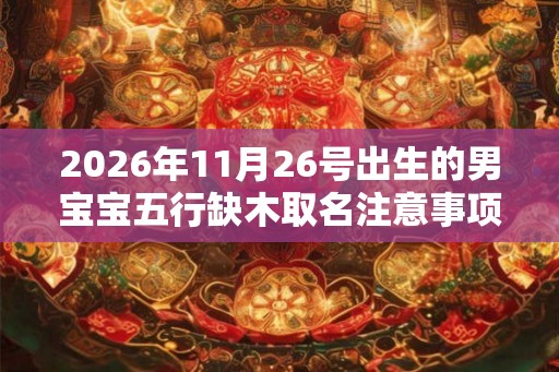 2026年11月26号出生的男宝宝五行缺木取名注意事项