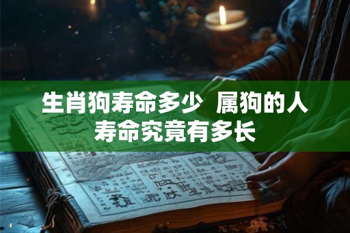 生肖狗寿命多少  属狗的人寿命究竟有多长