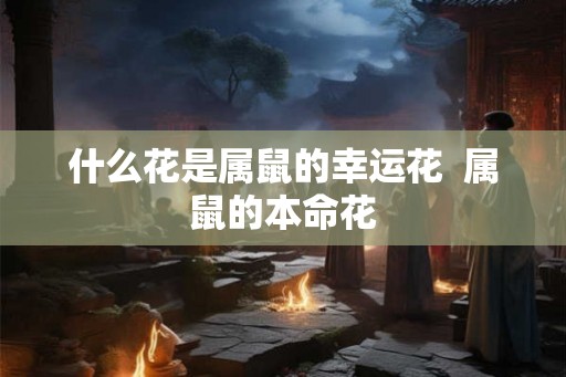 什么花是属鼠的幸运花  属鼠的本命花