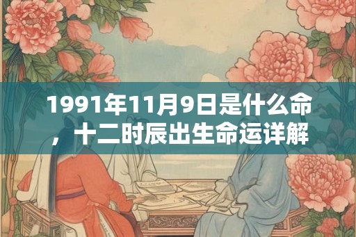 1991年11月9日是什么命，十二时辰出生命运详解