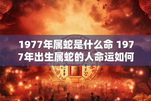1977年属蛇是什么命 1977年出生属蛇的人命运如何