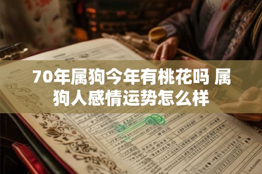 70年属狗今年有桃花吗 属狗人感情运势怎么样