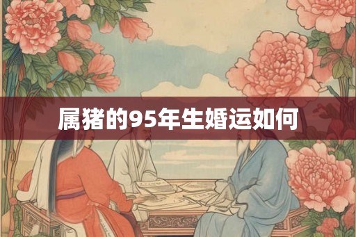 属猪的95年生婚运如何 属猪的95年生婚运如何