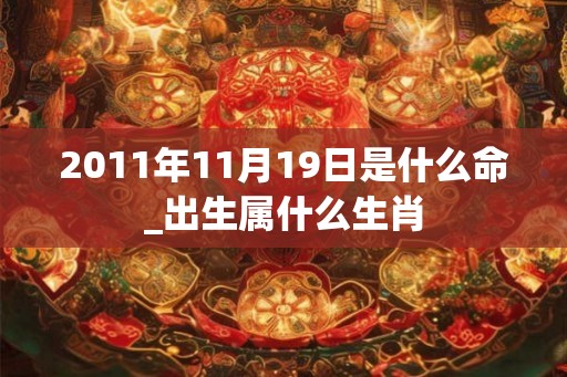 2011年11月19日是什么命_出生属什么生肖