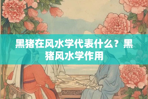 黑猪在风水学代表什么？黑猪风水学作用